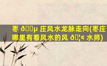 枣 🐵 庄风水龙脉走向(枣庄哪里有看风水的风 🦢 水师)